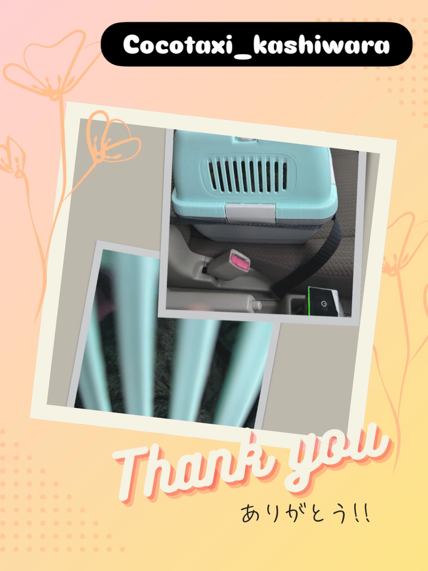 ご利用ありがとうございました🍀

不妊手術を終えた猫ちゃんを、
八尾市の @happy__tabbyさんから堺市のご自宅まで送迎しました🚐🐾

術後間もない移動となるため、車内では揺れをできるだけ抑え、猫ちゃんに負担がかからないよう注意しながらお送りしました。

ゆっくりと安心して過ごせますように✨
この度は大切な移動をお任せいただき、ありがとうございました。

#ペットタクシー
#保護猫
#猫のいる暮らし
#ペット送迎
#堺市