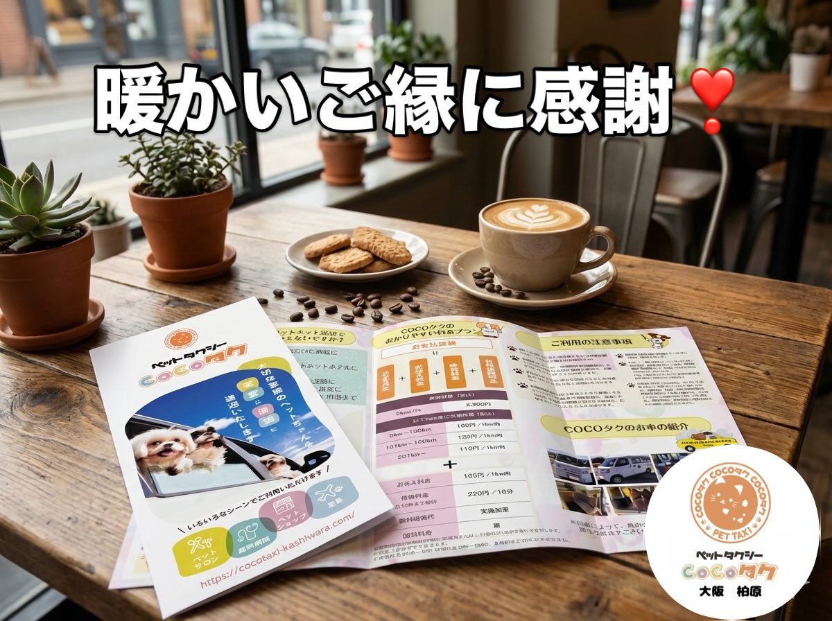 本日は、恩智にある　@___pom_cafe 様に、
当店のペットタクシーのリーフレットを
設置させていただきました！☕️✨
お忙しい時間帯にお伺いしてしまったのですが、
スタッフの皆様がとても親切に対応してくださり、
温かいお心遣いに感激いたしました😭
本当にありがとうございました！
お食事の合間に、店頭のリーフレットも
ぜひお手に取っていただけると嬉しいです🐾
「通院やトリミングに行きたいけれど、
移動手段がなくて…」
とお困りの飼い主様のお役に立てれば幸いです💕
pom cafe様、
素敵なご縁をありがとうございました！🙏✨
#ポムカフェ
#ペットタクシー
#ペットとおでかけ
#八尾市
#柏原市