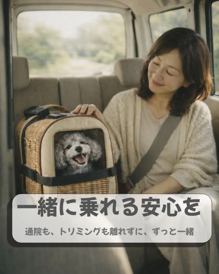 ペットタクシー 大阪柏原